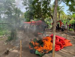 Gerebek Judi Sabung Ayam, Polsek Sape Sita 4 Ekor Ayam Jago dan Bakar Gelanggang Aduan