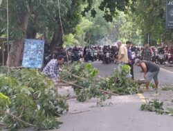 Jalan Senggigi Aman: Kolaborasi Polisi-Warga Atasi Ancaman Pohon Rawan