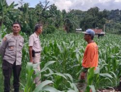 Sat Binmas Polres Bima Kota Pantau Program Ketahanan Pangan di Kelurahan Jatibaru Timur