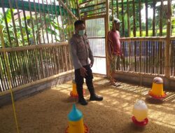 Peternak Ayam Super di Lombok Barat Panen Rutin, Bhabinkamtibmas Dukung Penuh