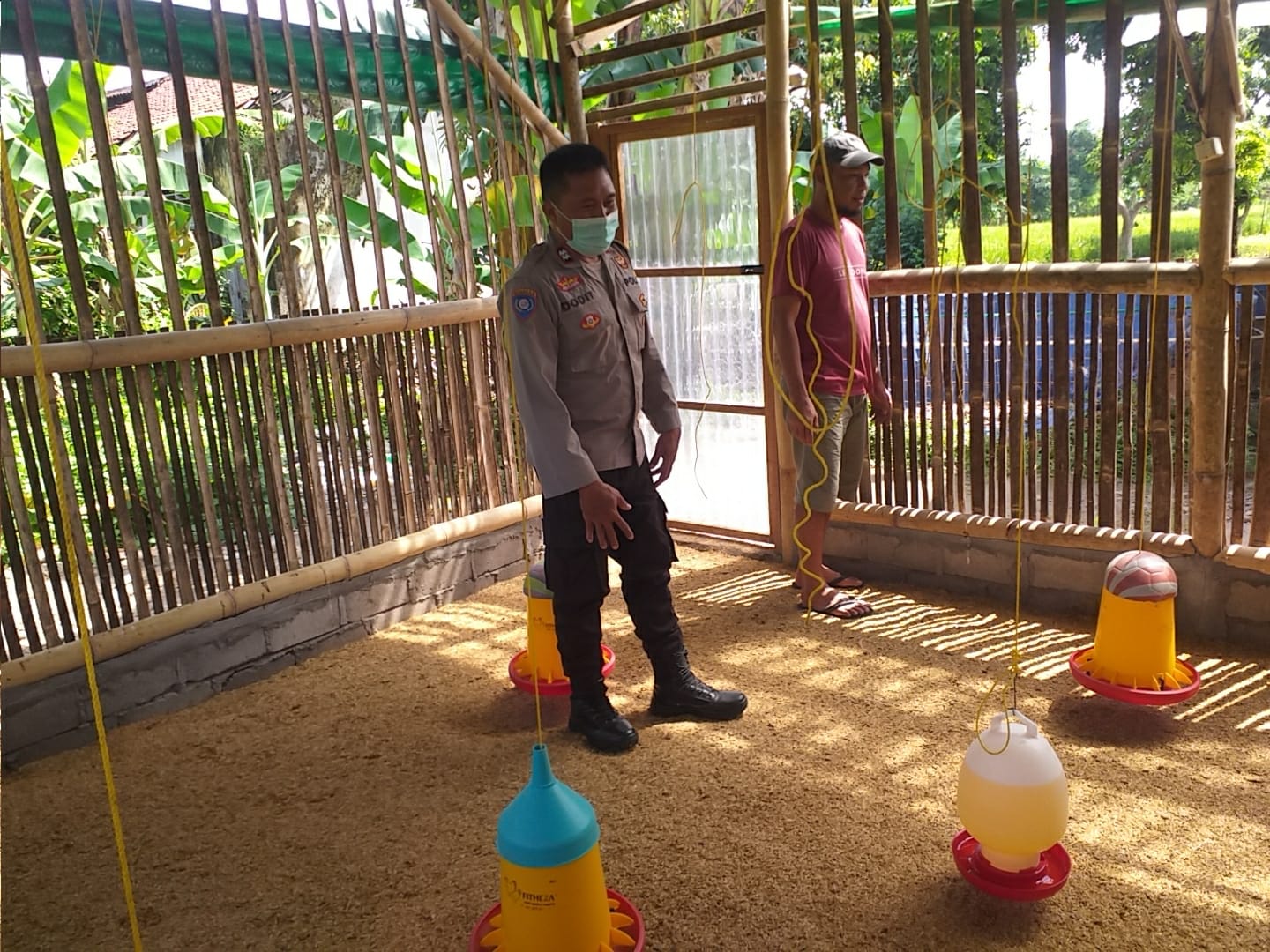 Bhabinkamtibmas Dukung Peternak Ayam di Lombok Barat, Ketahanan Pangan Makin Kuat!
