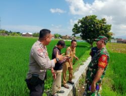 Karang Bongkot Punya Potensi! Lahan Kosong Siap Digarap Petani