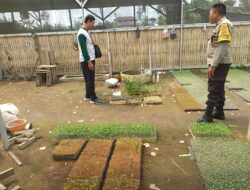 Lombok Barat: Bhabinkamtibmas Edukasi Warga Pentingnya Pekarangan untuk Ketahanan Pangan Keluarga