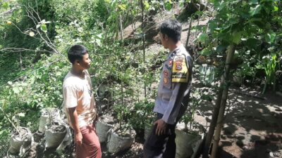 Ketahanan Pangan Dimulai dari Rumah! Bhabinkamtibmas Beri Dukungan