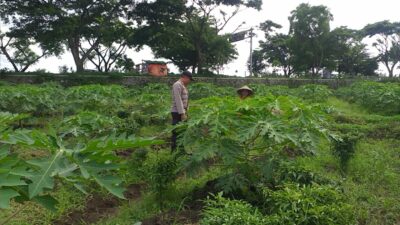 Kolaborasi Polri & Petani, Wujudkan Ketahanan Pangan di Lombok Barat
