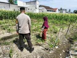 Petani Lombok Sambut Baik Program Ketahanan Pangan dari Polisi