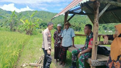 Sinergi Polisi & Petani: Harga Gabah Aman, Panen Tenang!