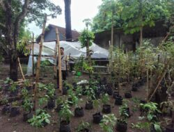 P2B di Desa Bengkel: Polisi Apresiasi Warga yang Rajin Berkebun