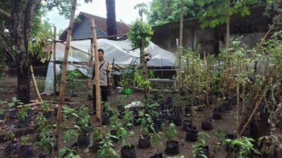 Warga Bengkel Sulap Pekarangan Jadi Sumber Pangan Bergizi