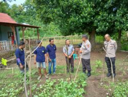 Sat Binmas Polres Bima Kota Laksanakan Pengecekan Pekarangan Pangan Bergizi (P2B) di Rutan Raba