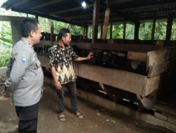 Ketahanan Pangan Berbasis Pekarangan: Polri Turun ke Masyarakat