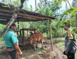 Polri Dukung Program P2B, Warga Batulayar Siap Tanam Sendiri