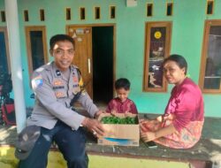 Dorong Kemandirian Pangan, Bhabinkamtibmas Beri Bibit Cabai ke Warga