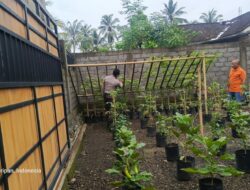 Ketahanan Pangan: Polsek Kuripan Gencar Sosialisasi Berkebun di Pekarangan