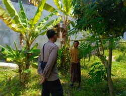 Bhabinkamtibmas Dorong Warga Manfaatkan Pekarangan untuk Ketahanan Pangan