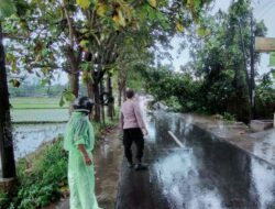 Akses Jalan Rengganis Sempat Tertutup Akibat Pohon Tumbang