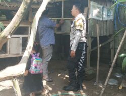 Ketahanan Pangan Dimulai dari Pekarangan: Inisiatif Bhabinkamtibmas Batulayar