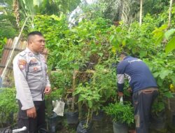 Kapolsek Kuripan Sambangi Warga, Motivasi Kemandirian Pangan