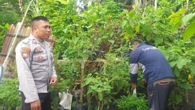 Polsek Kuripan Turun ke Lapangan, Gerakkan Warga Wujudkan Ketahanan Pangan