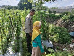 Peran Aktif Bhabinkamtibmas di Labuapi dalam Ketahanan Pangan Nasional
