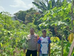 Bhabinkamtibmas Kendo Cek Pekarangan Pangan Bergizi untuk Dukung Ketahanan Pangan Nasional