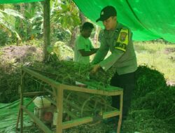 Bhabinkamtibmas Kelurahan Jatibaru Timur Bantu Warga Panen Kacang Tanah dalam Rangka Dukung Ketahanan Pangan Nasional