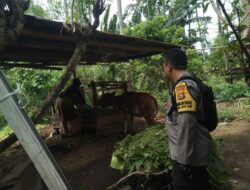 Ketahanan Pangan Dimulai dari Rumah: Bhabinkamtibmas Beri Edukasi Warga