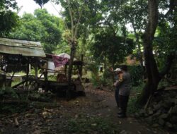 Bhabinkamtibmas Dorong Warga Manfaatkan Lahan Pekarangan, Begini Respons Mereka