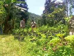 Polsek Batulayar Aktif Dampingi Ketahanan Pangan Keluarga