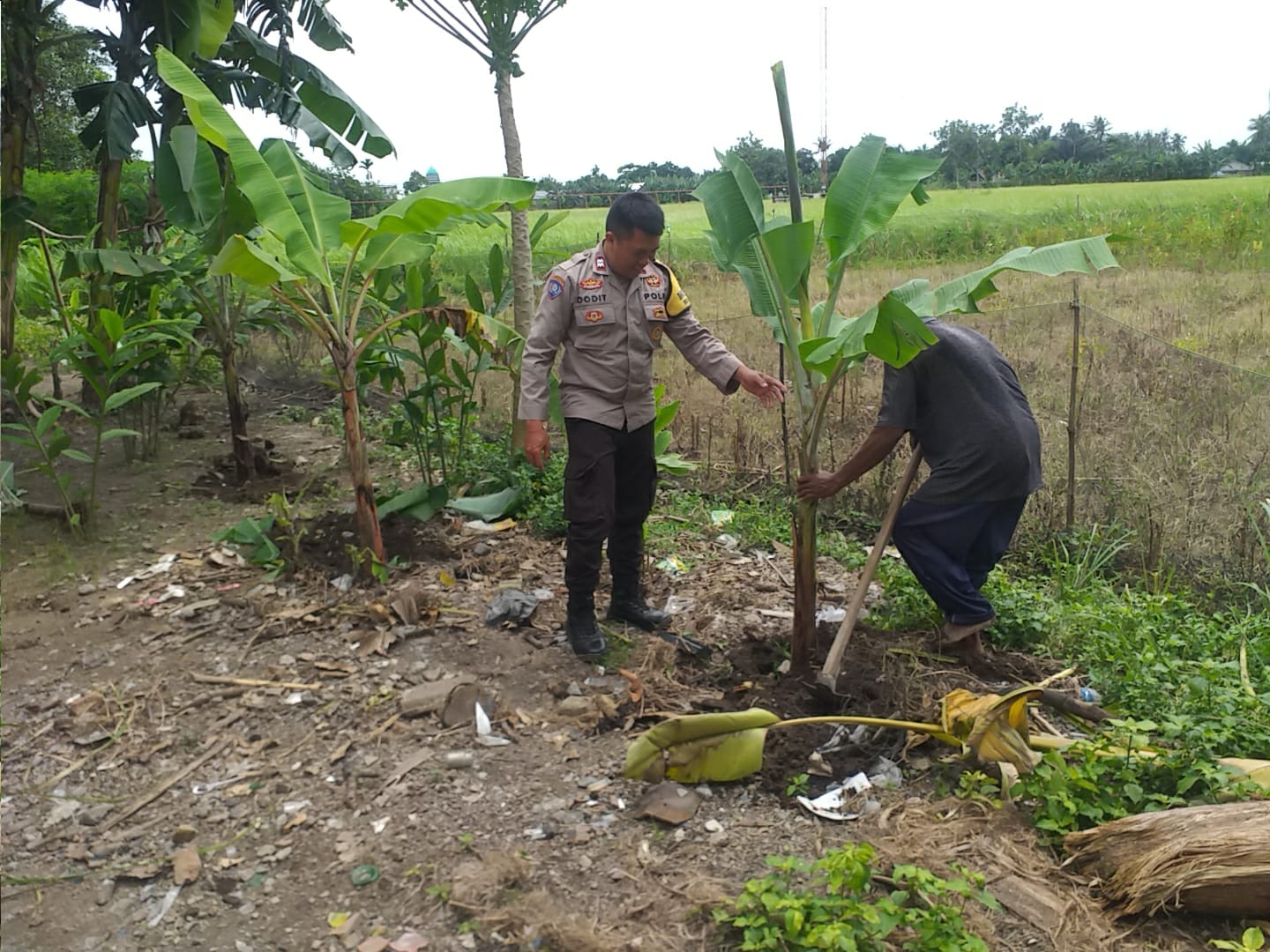 Sosialisasi Ketahanan Pangan, Bhabinkamtibmas Desa Jagaraga Rangkul Petani Lokal