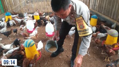 Bhabinkamtibmas Aktif Sosialisasikan Ketahanan Pangan di Desa Jagaraga