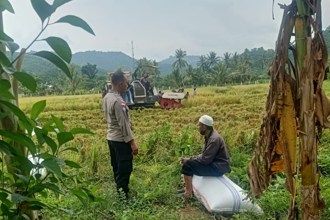 Kedekatan Polisi dan Petani, Panen Jadi Nyaman