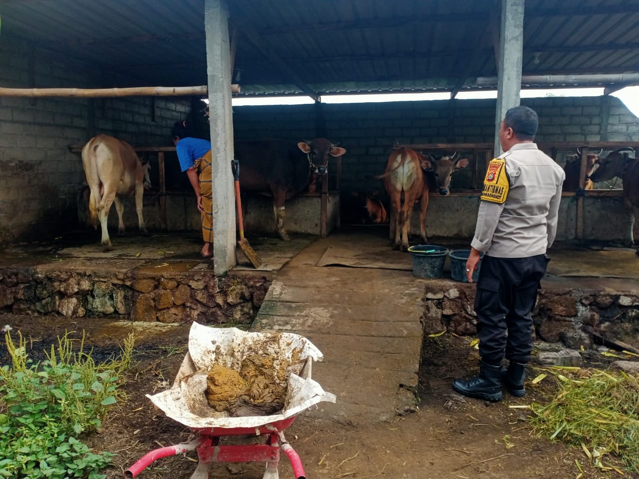 Dekatkan Diri ke Warga, Bhabinkamtibmas Dorong Usaha Ternak