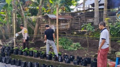 Lahan Kosong Disulap Pemuda Kuripan Jadi Kebun Produktif