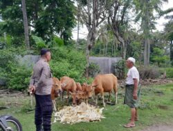 Ketahanan Pangan NTB Menguat: Sinergi Polisi & Warga di Lombok Barat Berbuah Positif