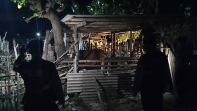 Upaya Polsek Sekotong Antisipasi Kejahatan Ternak di Kecamatan Sekotong