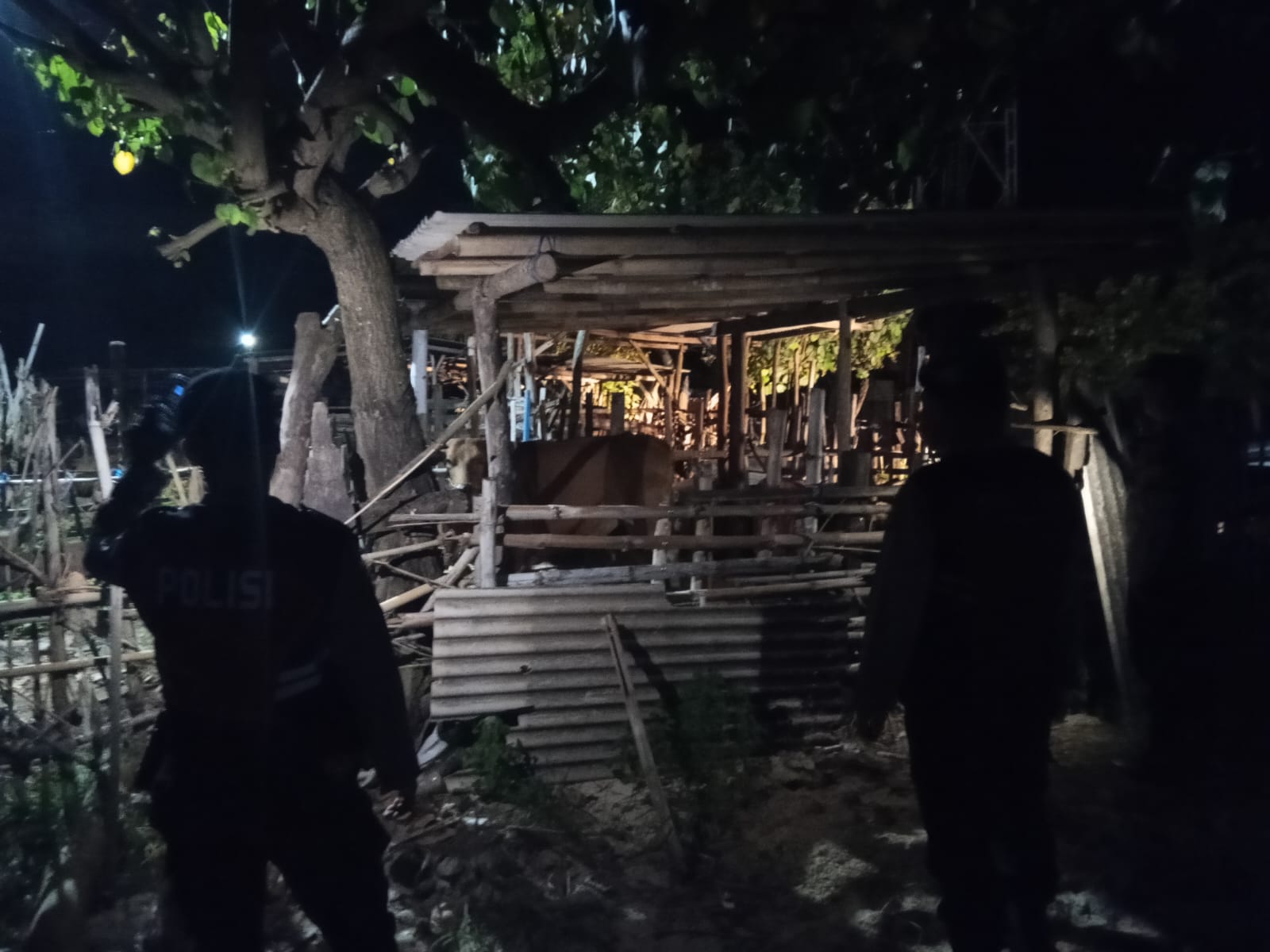 Polsek Sekotong Intensifkan Patroli Malam, Sasar Kandang Ternak Cegah Kejahatan