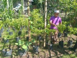 Sinergi Polisi dan Warga Lombok Barat Wujudkan Program Ketahanan Pangan