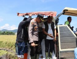 Kapolres Bima Kota Hadiri Panen Raya Padi Serentak Bersama Forkopimda