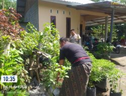 Bhabinkamtibmas Kuripan Aktif Sosialisasikan Program Pangan