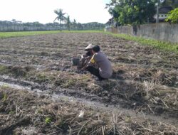 Bhabinkamtibmas Desa Kuripan Beri Motivasi Pemanfaatan Pekarangan untuk Ketahanan Pangan
