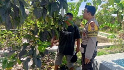 Program Ketahanan Pangan Desa Terong Tawah: Peran Bhabinkamtibmas dalam Pengecekan Lahan dan Pemantauan Harga