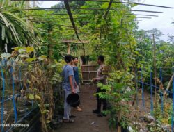 Pemuda Kuripan Utara Dilibatkan dalam Program Ketahanan Pangan Lokal