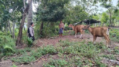 Ketahanan Pangan Dimulai dari Rumah: Inisiatif Polisi di Lombok Barat