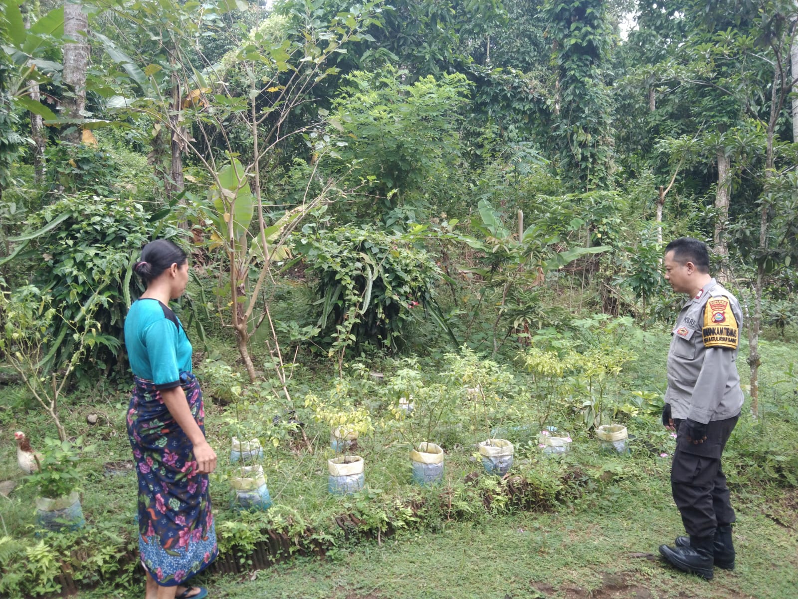Polsek Batulayar Gencarkan Program Ketahanan Pangan Melalui Silaturahmi Bhabinkamtibmas
