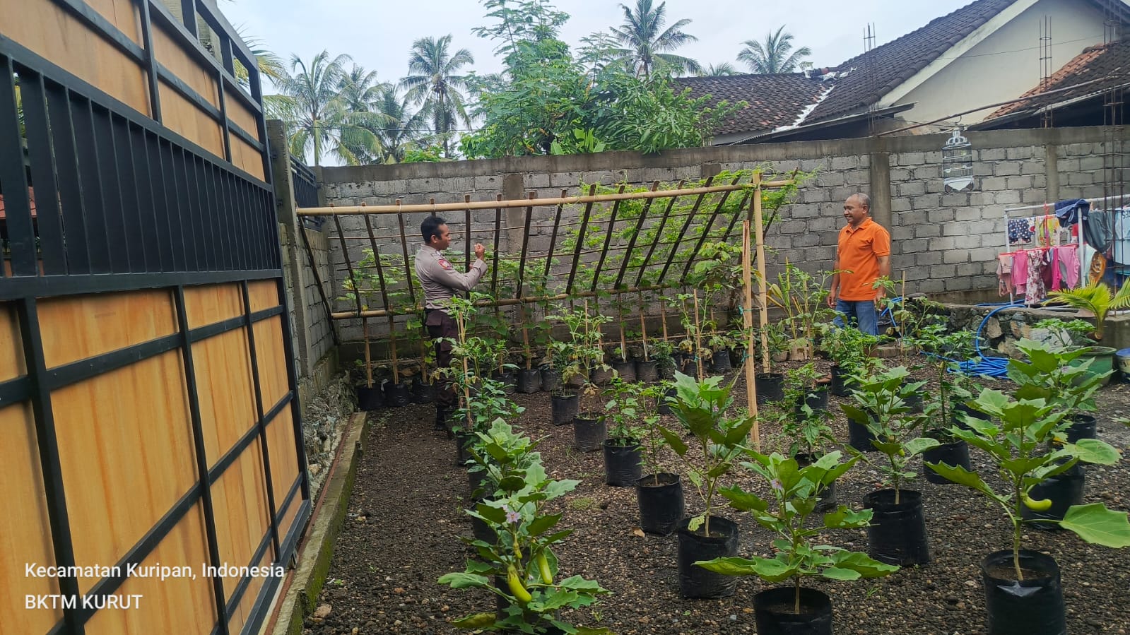 Bhabinkamtibmas Kuripan Sosialisasikan Pemanfaatan Lahan untuk Tanam Pangan