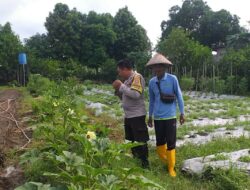 Optimalisasi Lahan untuk Ketahanan Pangan: Langkah Nyata Polri di Lombok Barat
