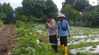 Optimalisasi Lahan untuk Ketahanan Pangan: Langkah Nyata Polri di Lombok Barat