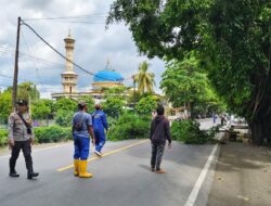 Sinergi Polsek dan Dinas LH Lombok Barat Dalam Penertiban Pohon Berbahaya