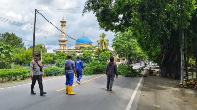 Sinergi Polsek dan Dinas LH Lombok Barat Dalam Penertiban Pohon Berbahaya